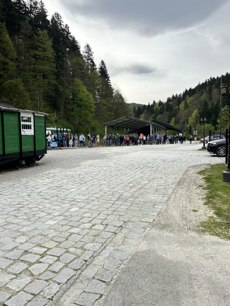 IMG 0501