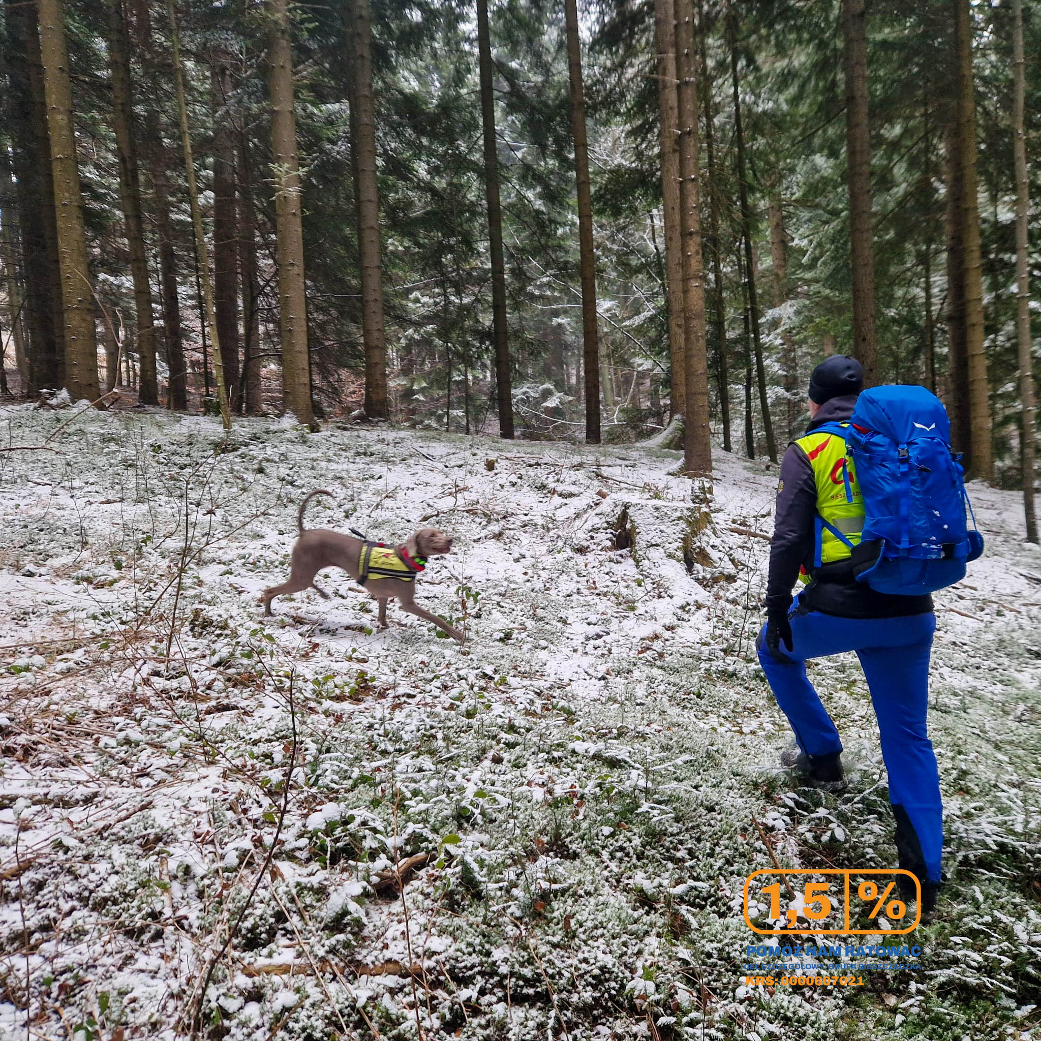 GOPR Bieszczady-Poszukiwania kobiety w Krosnie – intensywna akcja ratunkowa